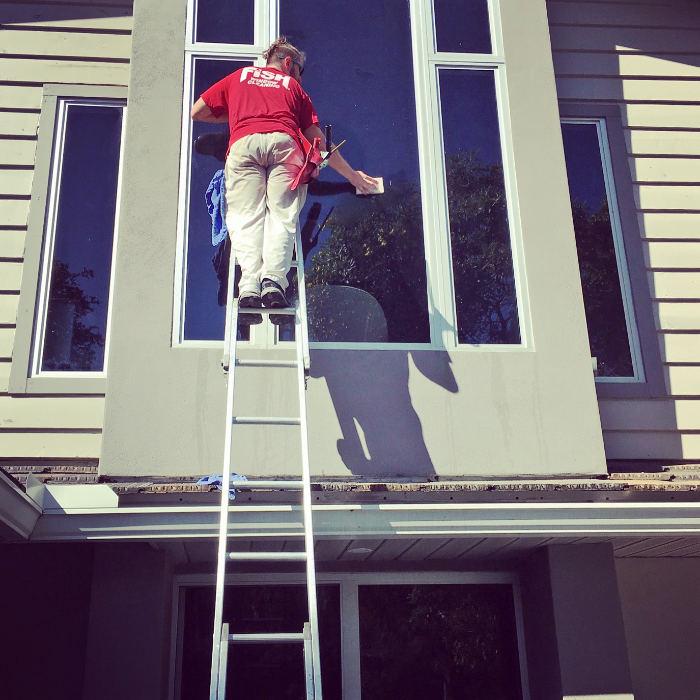 Fish Window Cleaner on Ladder